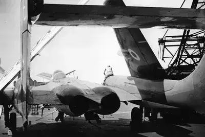 Sea Vixen 99